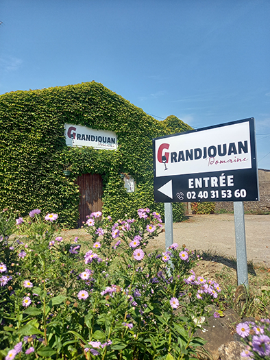 Cave du Domaine Grandjouan à St Mars de Coutais