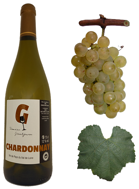 Chardonnay vin blanc 44 Grandjouan Domaine 44680