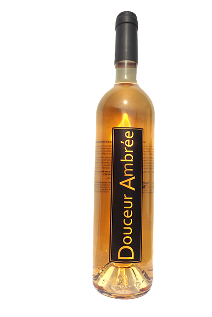 Douceur ambrée, vin liquoreux Nantes Sud à Saint Mars de Coutais