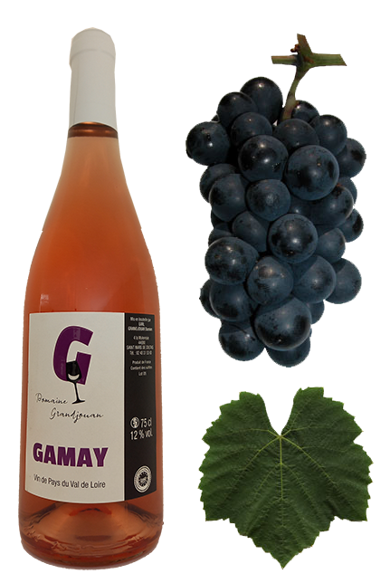 Gamay rosé Domaine Granjouan à Saint Mars de Coutais 44680