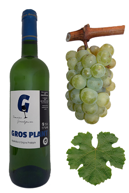 Grandjouan Gros Plant du Pays Nantais - Vin blanc pour fruits de mer