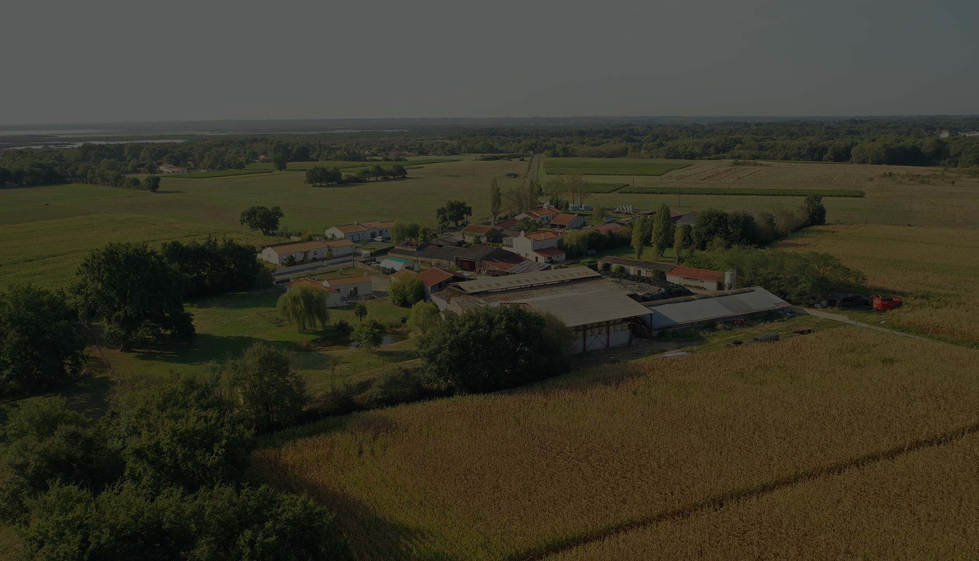 Cave Grandjouan Saint Mars de Coutais 44680