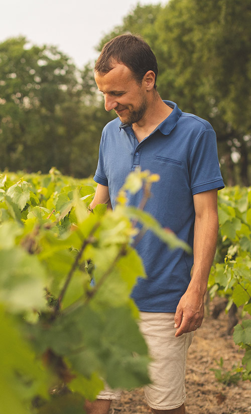 Damien Grandjouan Viticulteur Bouaye St Mars de Coutais