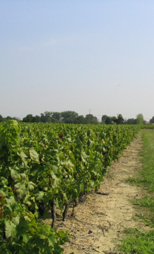 grolleau nantes sud domaine grandjouan bouaye proche